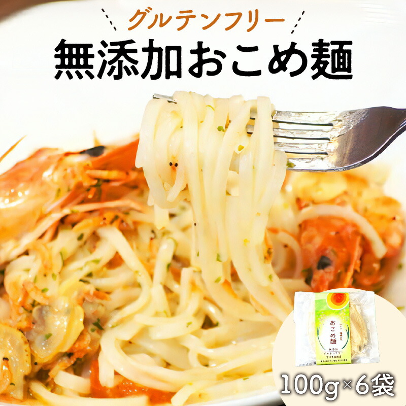 【ふるさと納税】【グルテンフリー】無添加おこめ麺　100g×6袋（A030）米粉麺　パスタ　うどん　　宮崎県延岡市　送料無料