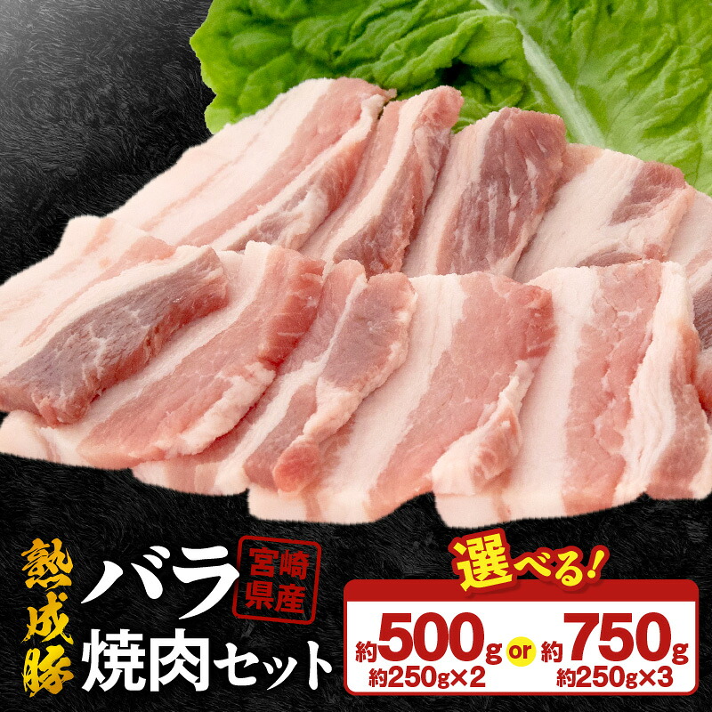 【ふるさと納税】宮崎県産 熟成豚 バラ焼肉セット 約250g 選べる セット 2個 3個 豚肉 厳選 独自の技術 歯切れがよい 豚バラ バラ肉 熟成 肉味 冷凍 おかず 炒め物 焼肉 鏡山牧場 お取り寄せ 宮崎県 延岡市 送料無料｜宮崎県延岡市