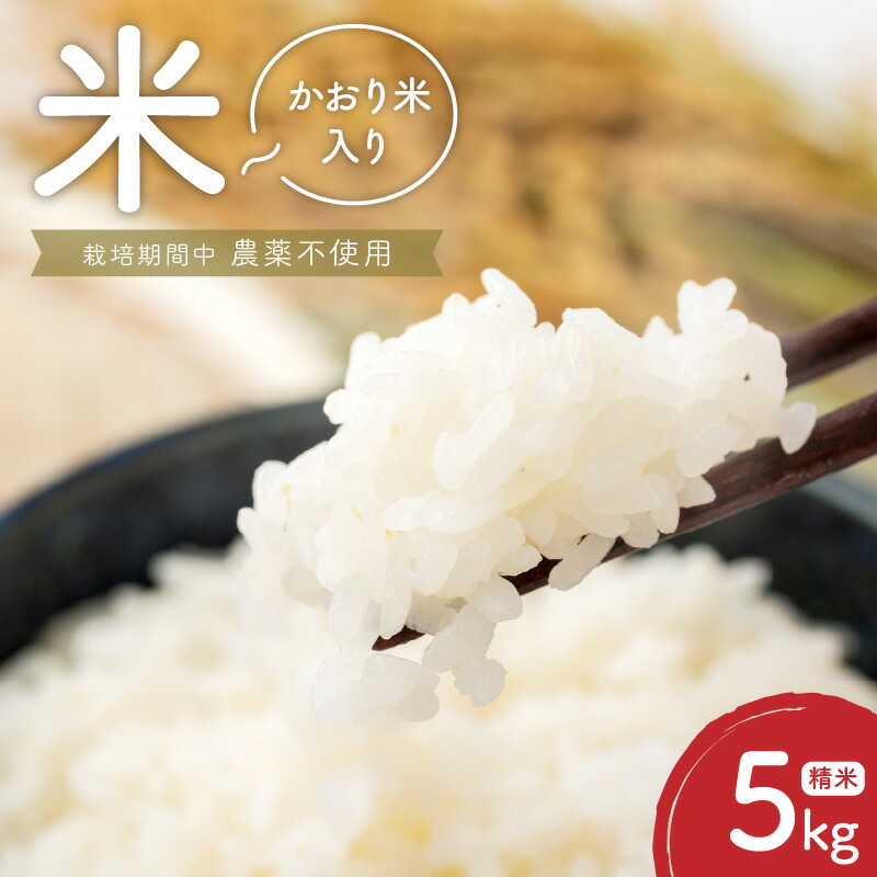 【ふるさと納税】米 5kg 精米 自家生産 栽培期間中 農薬 不使用 白米 もち米 かおり米 ブレンド 風味 食感 自社生産 お米 ご飯 おにぎり おむすび お弁当 弁当 炊き込みご飯 食品 食べ物 瀧本農産 お取り寄せ お取り寄せグルメ 宮崎県 延岡市 送料無料｜宮崎県延岡市