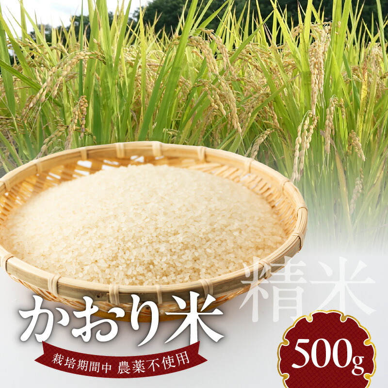 楽天市場】【ふるさと納税】米 かおりもち米 500g 自家生産 栽培期間中 農薬 不使用 自社生産 精米 食品 食べ物 お餅 お雑煮 おこわ だんご  おはぎ 餅つき 赤飯 ちまき 炊き込みご飯 瀧本農産 お取り寄せ 宮崎県 延岡市 送料無料 : 宮崎県延岡市