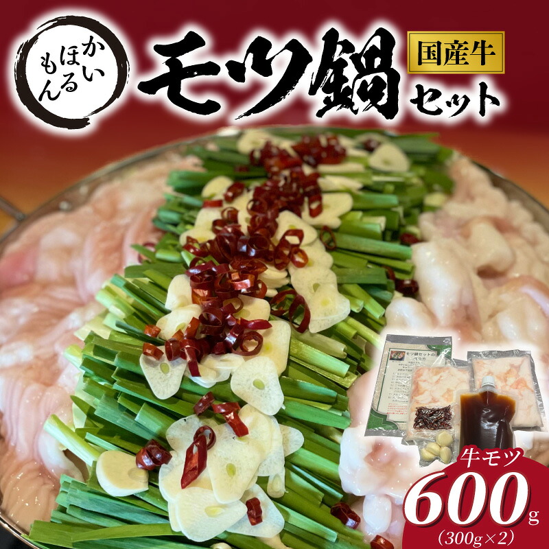 【ふるさと納税】モツ鍋 セット 牛モツ 牛ホルモン 牛肉 600g 下処理済 ホルモン 肉 醤油ベース 出汁 スープ にんにく 鷹の爪 ジューシー 鍋 食品 おかず グルメ 冷蔵 お手軽 宮崎県 延岡市 お取り寄せ 送料無料｜宮崎県延岡市