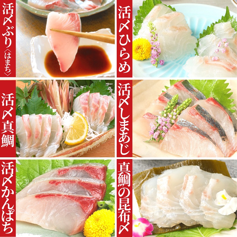 アイテム勢ぞろい 刺身 魚介類 定期便 6ヶ月 ヒラメ 真鯛 カンパチ シマアジ ブリ チルド冷蔵 活〆 宮崎県延岡市 請関水産 送料無料 Nrockconstruction Com