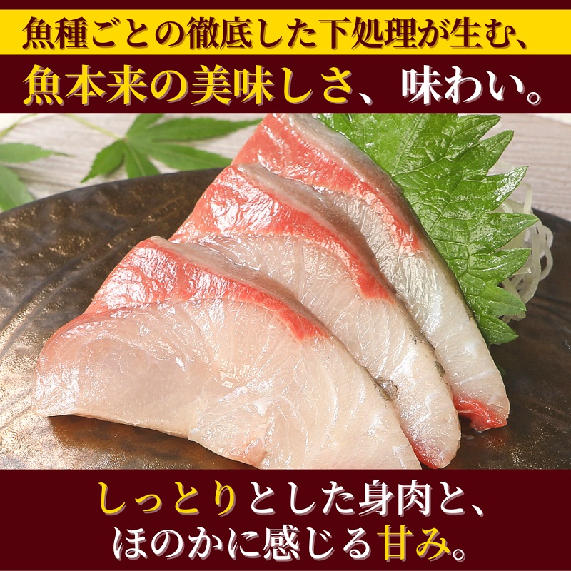 アイテム勢ぞろい 刺身 魚介類 定期便 6ヶ月 ヒラメ 真鯛 カンパチ シマアジ ブリ チルド冷蔵 活〆 宮崎県延岡市 請関水産 送料無料 Nrockconstruction Com