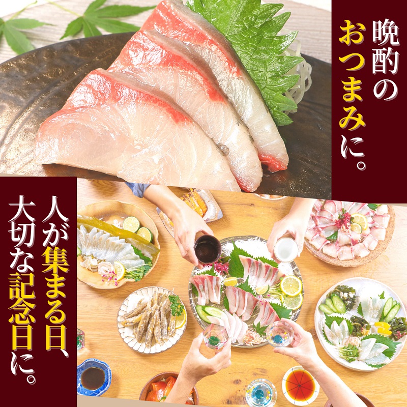 刺身 魚介類 定期便 請関水産 チルド冷蔵 ヒラメ はまち ブリ シマアジ 12ヶ月 送料無料 宮崎県延岡市 メヒカリ 活〆 サーモン マグロ カンパチ 漬け丼 真鯛