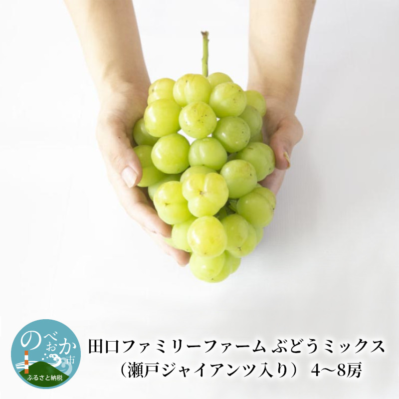 【ふるさと納税】田口ファミリーファーム ぶどうミックス（瀬戸ジャイアンツ入り） 4～8房 約 3kg ～ 4kg｜宮崎県延岡市