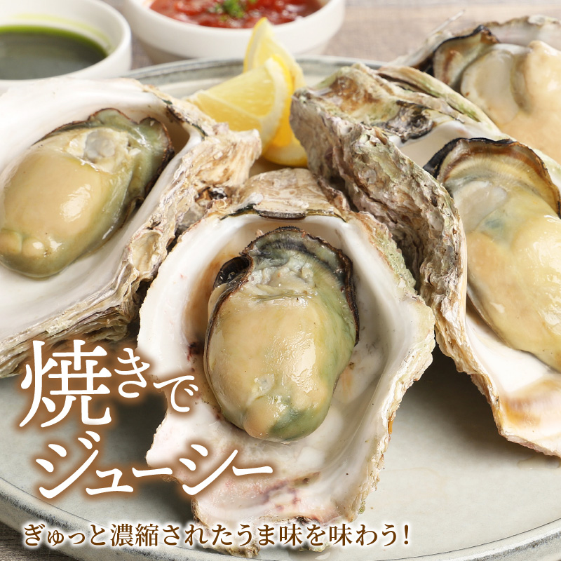 ふるさと納税 延岡市 延岡産天然岩牡蠣(生食用)3kg(大) - 牡蠣