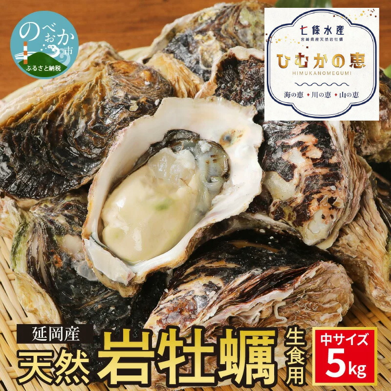 延岡産天然岩牡蠣(生食用)5kg(中)(2022年4月20日から発送開始) 冷蔵 生牡蠣 岩がき 殻付き 国産 産地直送 牡蠣 ひむかの恵