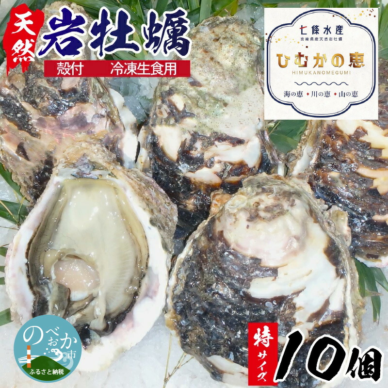 ふるさと納税 延岡市 延岡産天然岩牡蠣(生食用)5kg(大) - 通販