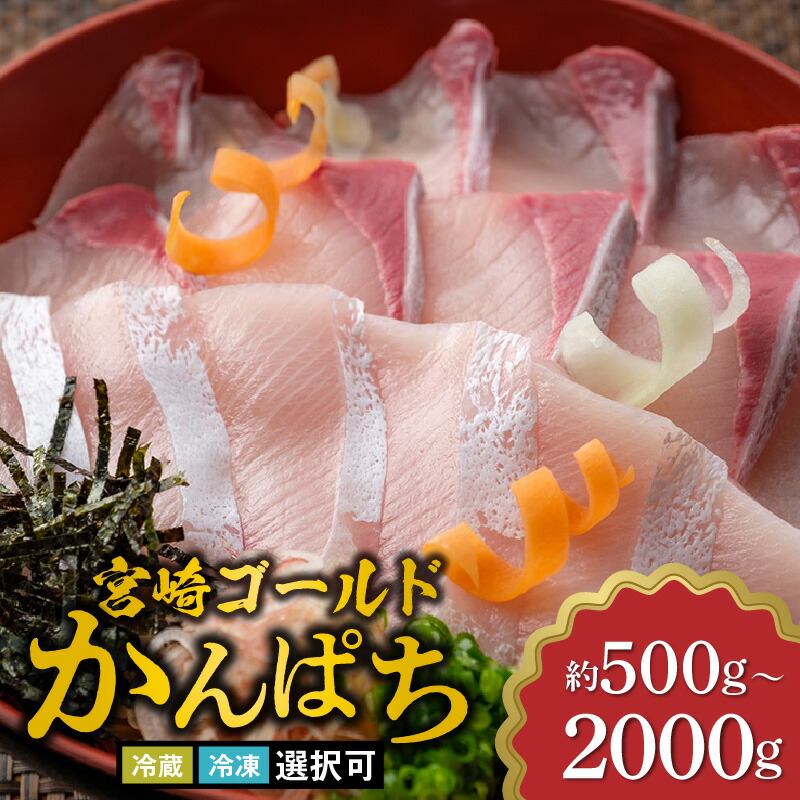 【ふるさと納税】宮崎ゴールド かんぱち 刺身 選べる 容量 500g ~ 2000g 冷蔵 冷凍 選択可 宮崎産 新鮮 皮引き済 簡単 調理 歯ごたえ 食感 ぷりぷり 脂 甘み 獲れたて 真空パック 自然解凍 カルパッチョ 丼 新海屋 鰤屋金太郎 お取り寄せグルメ 宮崎県 延岡市 送料無料