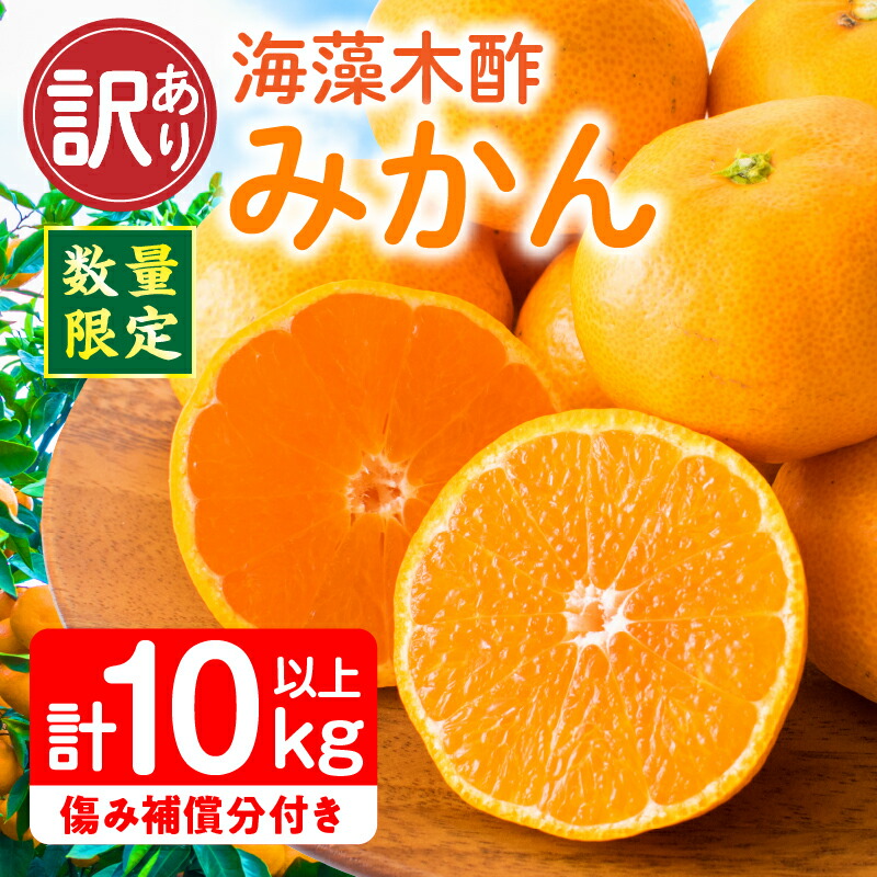 【ふるさと納税】訳あり 数量限定 海藻木酢みかん 計10kg以上 傷み補償分付き フルーツ 果物 くだもの 柑橘 みかん 国産 期間限定 食品 家庭用 自宅用 B品 わけあり オレンジ デザート おやつ おすすめ おすそ分け ご褒美 お取り寄せ グルメ 産地直送 宮崎県 日南市 送料無料