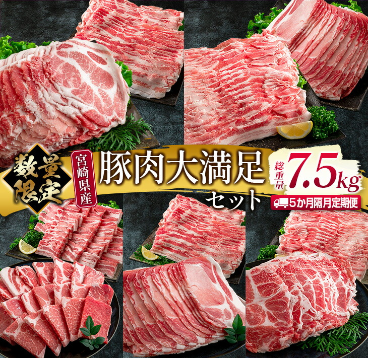 【ふるさと納税】数量限定 5か月 お楽しみ 隔月 定期便 豚肉 大満足 セット 総重量7.5kg ポーク 国産 宮崎県産 しゃぶしゃぶ スライス 焼肉 大容量 豚ロース 豚肩ロース 豚バラ 豚しゃぶ 食品 おかず おつまみ お弁当 食べ比べ 詰め合わせ BBQ おすすめ 日南市 送料無料