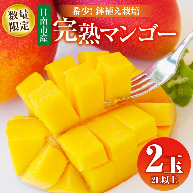 【ふるさと納税】数量限定 希少 完熟マンゴー 鉢植え栽培 2L以上 × 2玉 フルーツ 果物 くだもの 期間限定 国産 食品 高糖度 濃厚 贅沢 上質 人気 おすすめ デザート おやつ ご褒美 お取り寄せ グルメ 贈り物 プレゼント ギフト お土産 お祝 宮崎県 日南市 産地直送 送料無料