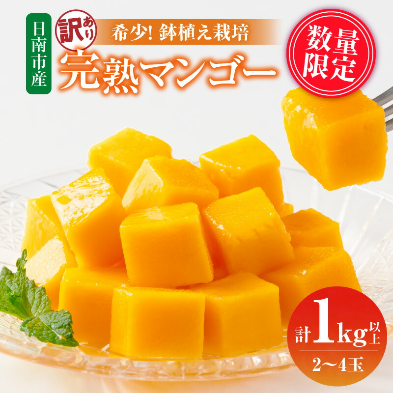 【ふるさと納税】訳あり 数量限定 希少 完熟 マンゴー 鉢植え栽培 計1kg以上 期間限定 くだもの 果物 フルーツ 不揃い 糖度13度以上 日南市産 国産 ご家庭用 食品 デザート おやつ 人気 おすすめ ご褒美 おすそ分け 産地直送 トロピカルフルーツ 冷蔵 宮崎県 送料無料 13,260円