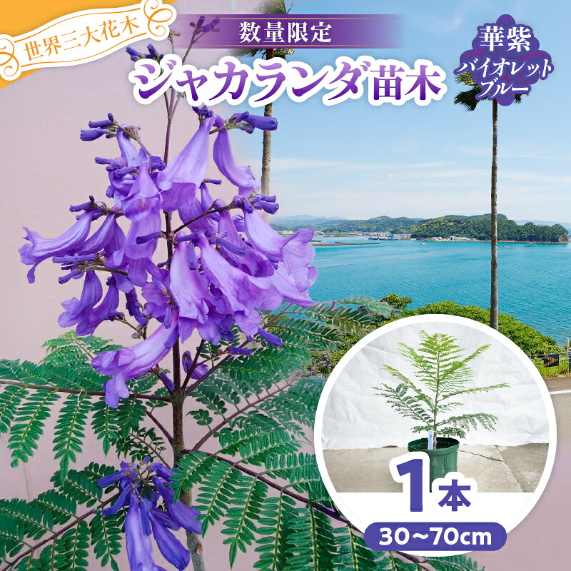 【お中元特集】ありがとうが伝わる夏差し上げ物?