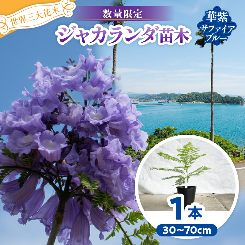 【お中元特集】ありがとうが伝わる夏差し上げ物?