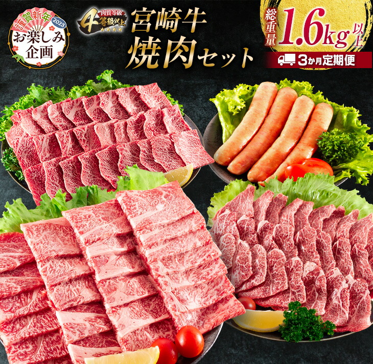 スーパーセール】 ふるさと納税 ≪数量限定≫3か月お楽しみ定期便 牛 豚 鶏バラエティセット 総重量5kg 肉 牛肉 豚肉 鶏肉 F57-21  宮崎県日南市