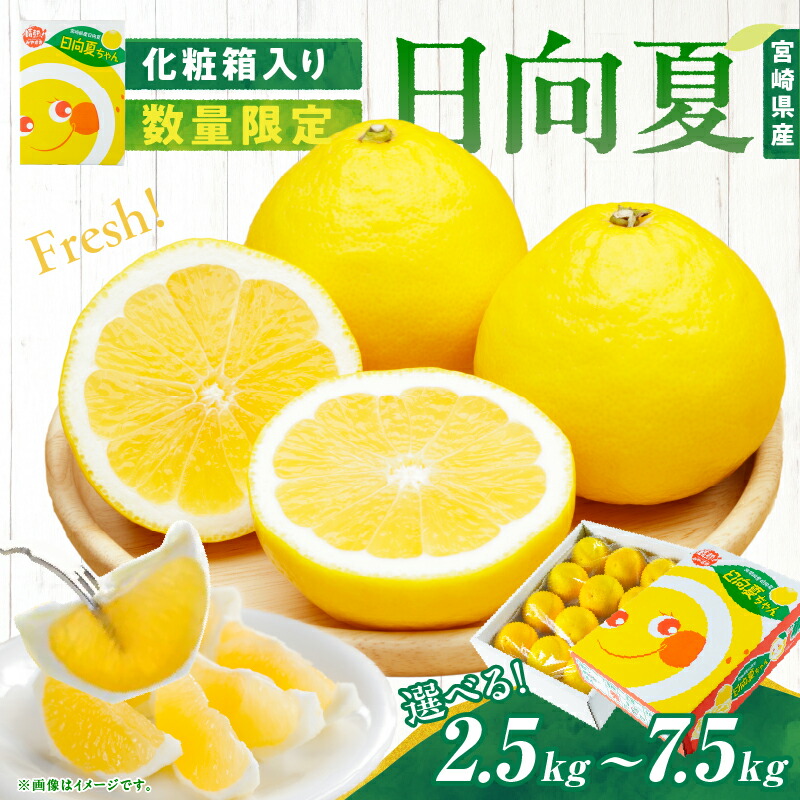 清水操、【夏至南風―果実】、希少な額装用画集より、新品額装付 清水操、【夏至南風―果実】、希少な額装用画集より、新品額装付 清水操