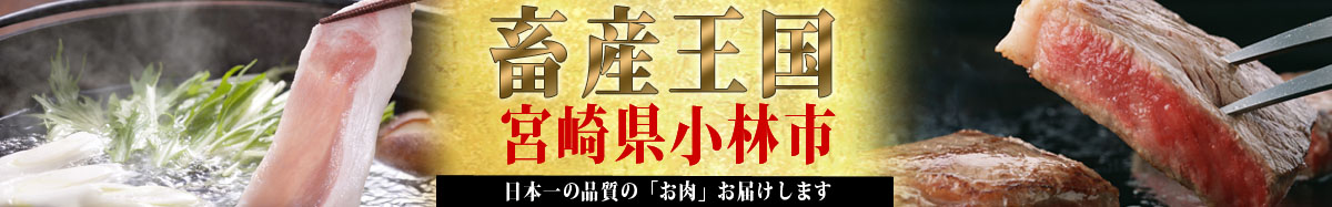 宮崎県小林市:ふるさと納税 宮崎県 小林市 自然を大切にし、自然と共存するまち