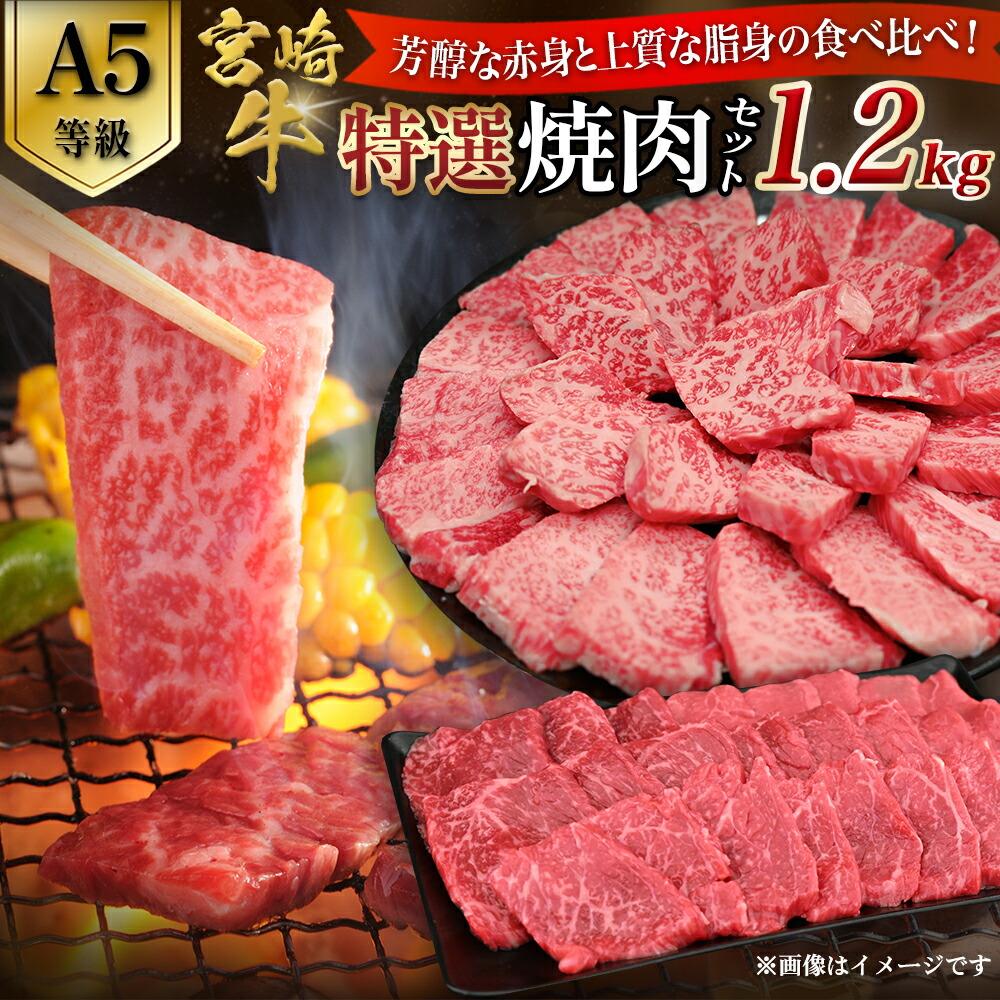 【ふるさと納税】【A5等級】宮崎牛 特選焼肉セット 計1.2kg（赤身・霜降り） 宮崎牛 ブランド牛 和牛 牛肉 焼肉 牛 霜降り 赤身 A5 国産牛 牛 肉 お肉 ふるさと 人気 おすすめ 贈答 ギフト お裾分け プレゼント 精肉 宮崎県 小林市 送料無料 29,250円