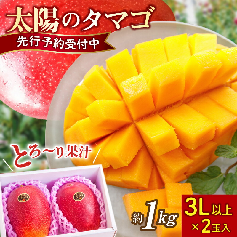 楽天市場】【ふるさと納税】西都市産 完熟マンゴー「太陽のタマゴ」3L