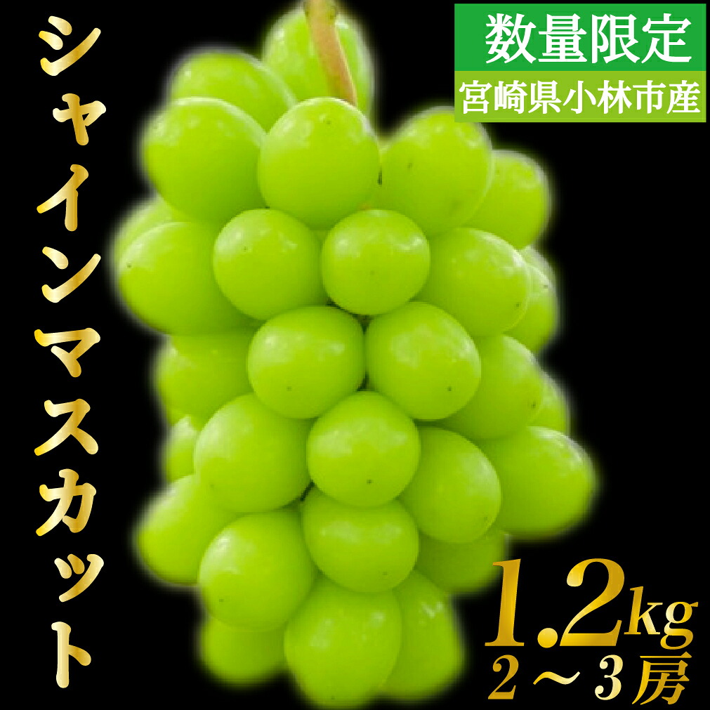 【ふるさと納税】【数量限定】シャインマスカット 1.2kg 農家直送(ぶどう 葡萄 高級フルーツ 甘い 高糖度 ジューシー みずみずしい 芳醇 数量限定 期間限定 旬の果物 人気返礼品)|宮崎県小林市