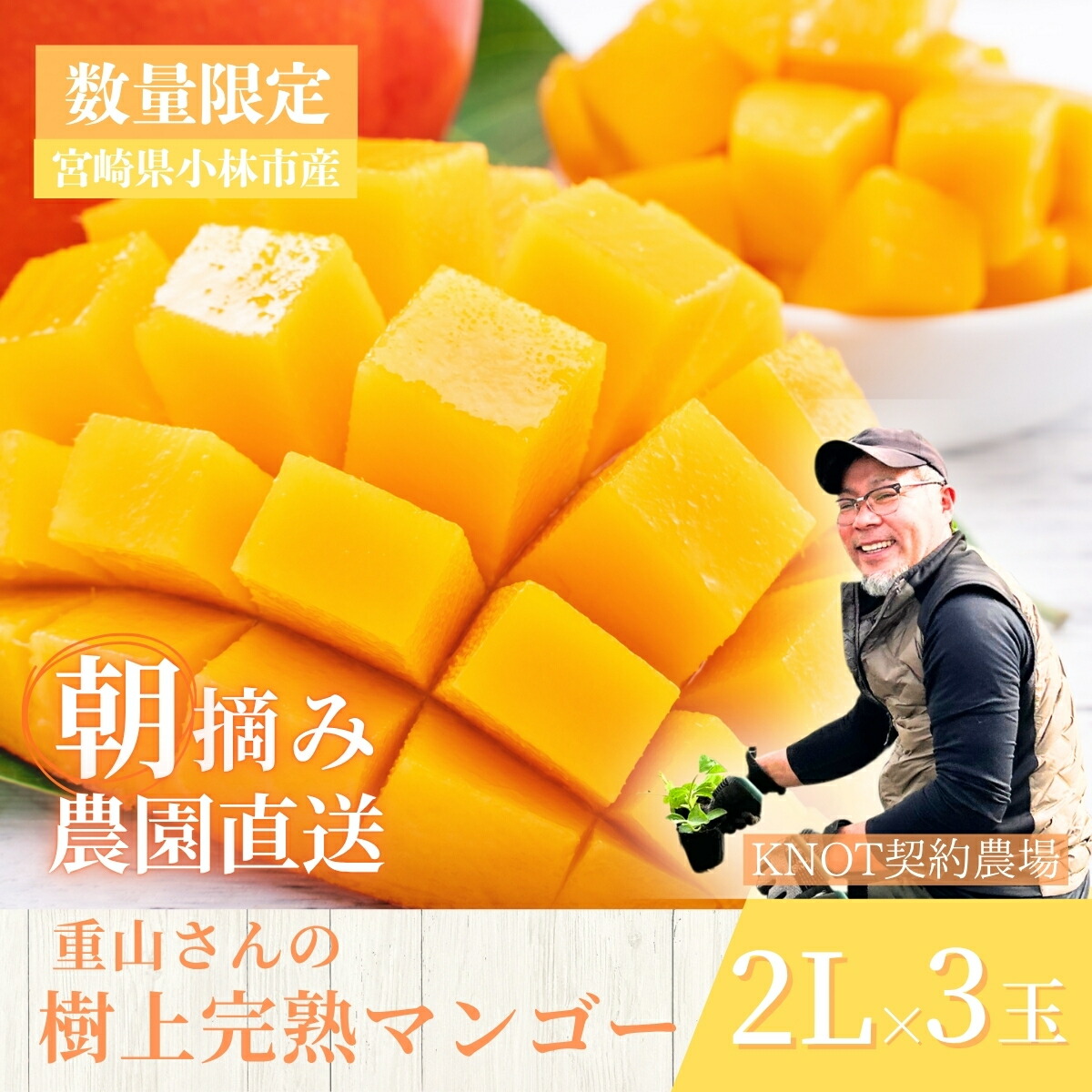 【ふるさと納税】【2026年発送 先行予約】生産農家応援・濃厚果肉 みやざき完熟マンゴー 2L×3玉（マンゴー フルーツ アップルマンゴー 果物 くだもの 2026 先行受付 宮崎）