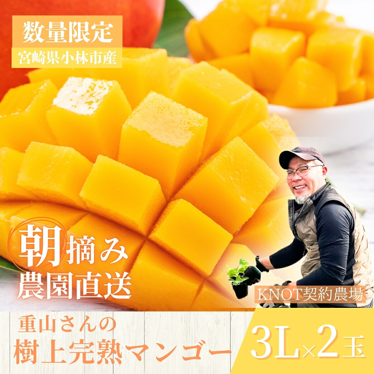 【ふるさと納税】【2026年発送 先行予約】生産農家応援・濃厚果肉 みやざき完熟マンゴー 3L×2玉（マンゴー フルーツ アップルマンゴー 果物 くだもの 2026 先行受付 宮崎）