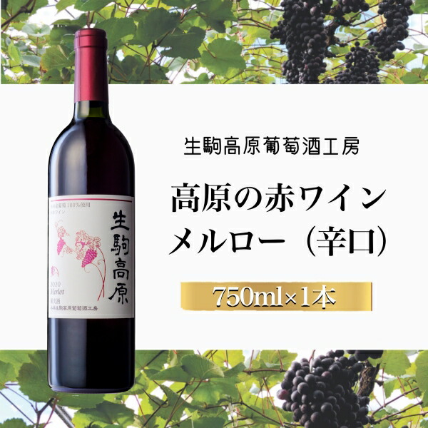 【ふるさと納税】【高原の赤ワイン】メルロー（辛口）ワイン 辛口 赤 メルローぶどう酒 ふるさと 人気 おすすめ 贈答 ギフト お裾分け プレゼント 宮崎県 小林市 送料無料