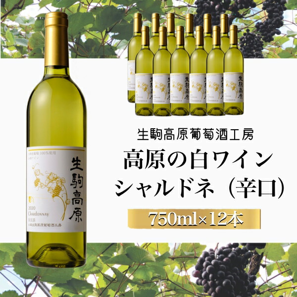 【ふるさと納税】【高原の白ワイン】シャルドネ（辛口）1ダース ワイン 白 シャルドネ ぶどう酒 ふるさと 人気 おすすめ 贈答 ギフト お裾分け プレゼント 宮崎県 小林市 送料無料
