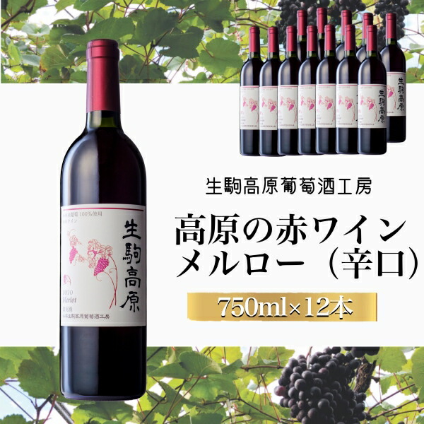 【ふるさと納税】【高原の赤ワイン】メルロー 1ダース ワイン 赤 メルロー ぶどう酒 ふるさと 人気 おすすめ 贈答 ギフト お裾分け プレゼント 宮崎県 小林市 送料無料