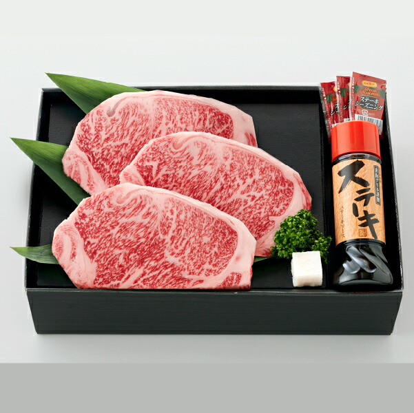 珍品】 JRA 中央競馬 スタッフ 支給 非売品 ポロシャツ ロイヤル