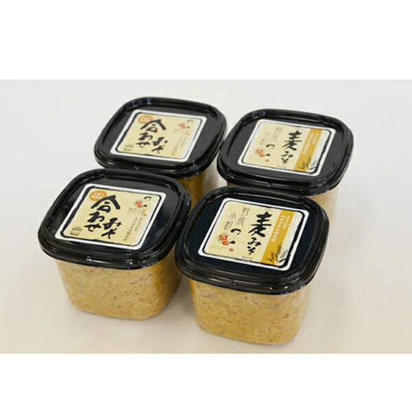 【ふるさと納税】里山の手作りみそセット2種（のじり農産加工センター）合わせみそ みそ 味噌 無添加 手作りみそ セット ふるさと 人気 おすすめ 贈答 ギフト お裾分け プレゼント 宮崎県 小林市 送料無料