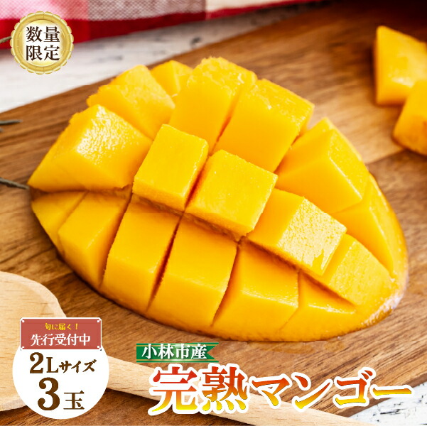 【ふるさと納税】【先行予約】完熟 マンゴー 2L×3玉 約1kg 数量限定 先行受付 厳選 大玉 フルーツ 果物 2025年発送 化粧箱入り 宮崎