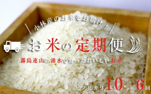 売れ筋 定期便 全6回 里山のおいしいヒノヒカリ 10kg 6回 宮崎県小林市 輝く高品質な Safronov Com Ua