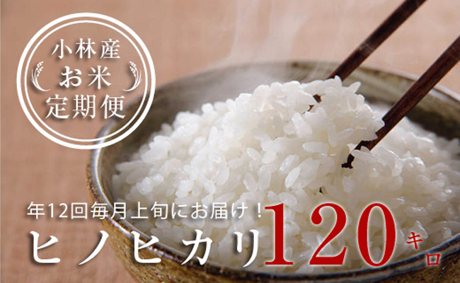 国内最安値 楽天市場 ふるさと納税 定期便 全12回 小林産ヒノヒカリ 10kg 12回 宮崎県小林市 格安即決 Www Lexusoman Com