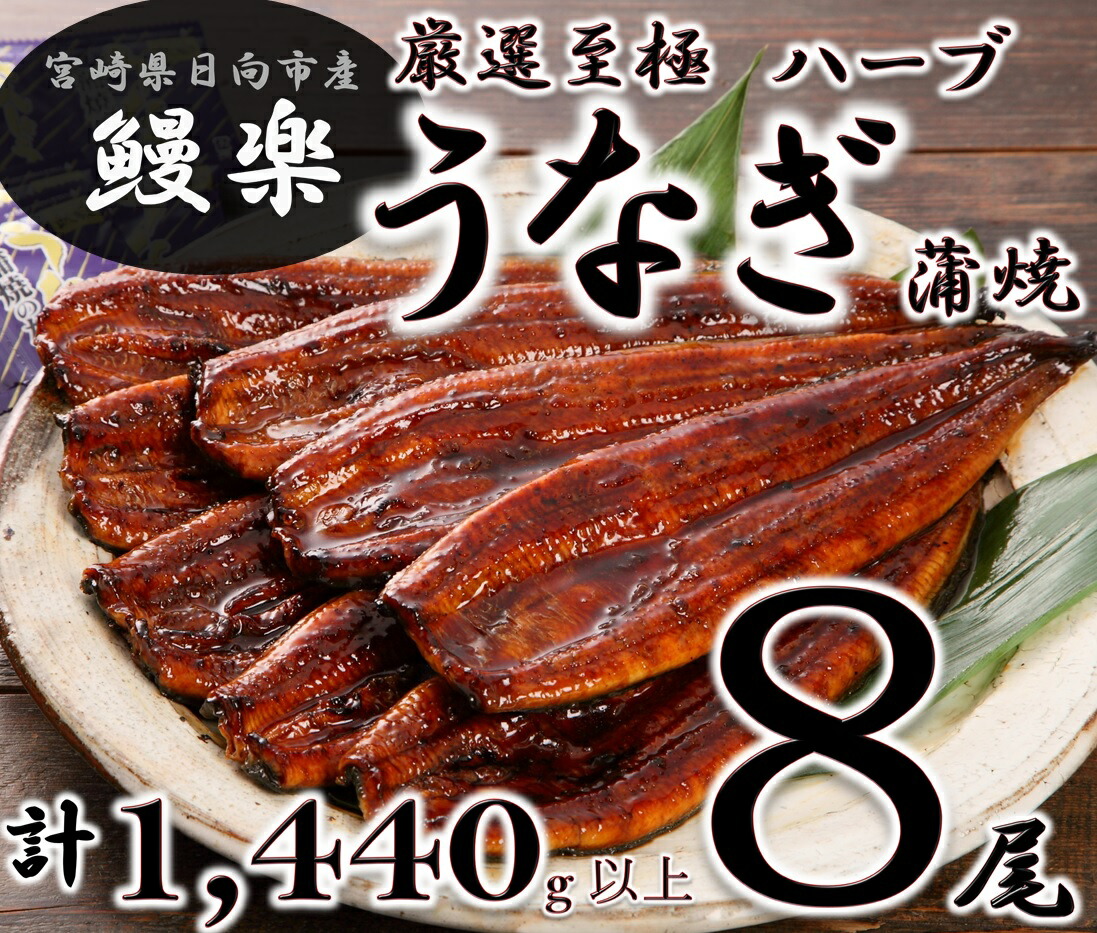 64％以上節約 10-119 ふるさと納税 宴の彩りハムギフト2本 南