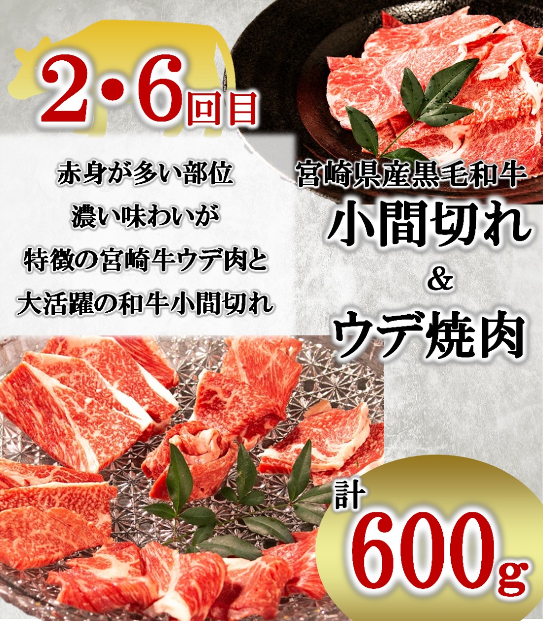 ふるさと納税 定期便 全6回 宮崎牛と宮崎県産豚肉バラエティコース