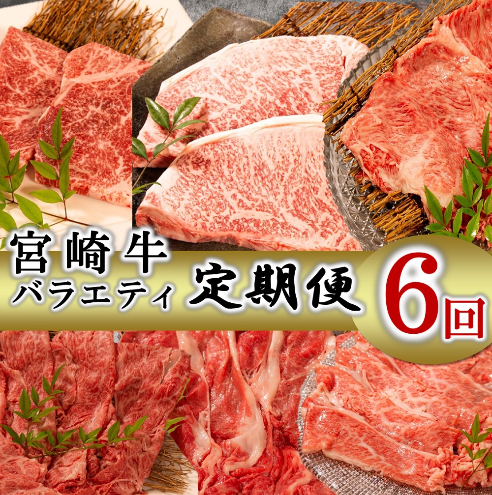 【ふるさと納税】【定期便・全6回】宮崎牛バラエティ定期便3.3kg(ミヤチク)[Z80-02] 宮崎県日向市