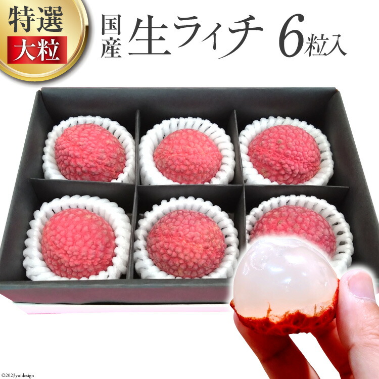【ふるさと納税】【期間限定発送】 特選 大粒 生ライチ 6粒入り [大黒園 宮崎県 日向市 452060924] 果物 フルーツ 国産 宮崎産