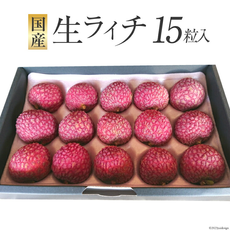 【ふるさと納税】【期間限定発送】 生ライチ 15粒入り [大黒園 宮崎県 日向市 452060925] 果物 フルーツ 国産 宮崎産