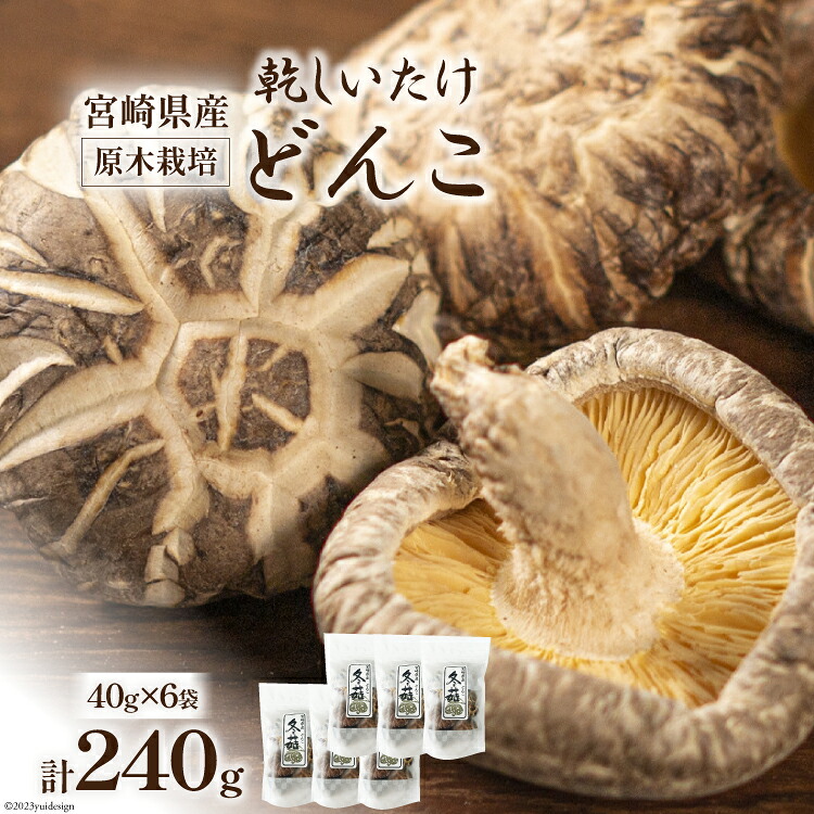 【ふるさと納税】 宮崎県産 原木栽培 乾しいたけ どんこ 40g 6袋 計240g [本吉 宮崎県 日向市 452061461] しいたけ 椎茸 乾燥 干し 国産｜宮崎県日向市