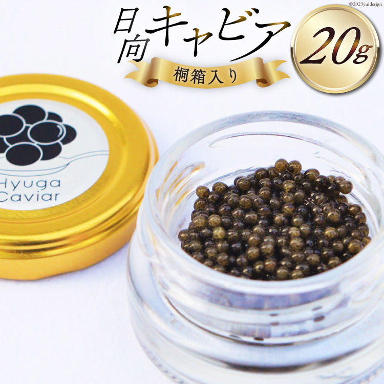 【ふるさと納税】 キャビア 日向キャビア (Hyuga Caviar) 20g 桐箱入り [ウィズ・クリエイティブ 宮崎県 日向市 452060892] 冷凍 宮崎 国産 チョウザメ フレッシュ 瓶