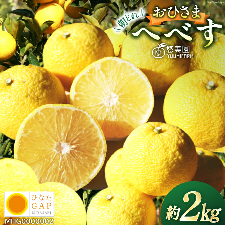 【ふるさと納税】【期間限定発送】 おひさまへべす ひなたGAP認定 ふぞろい 2kg [へべすの悠美園 宮崎県 日向市 452060723] へべす ヘベス 宮崎 果物 フルーツ くだもの 柑橘 ポン酢 調味料 果汁