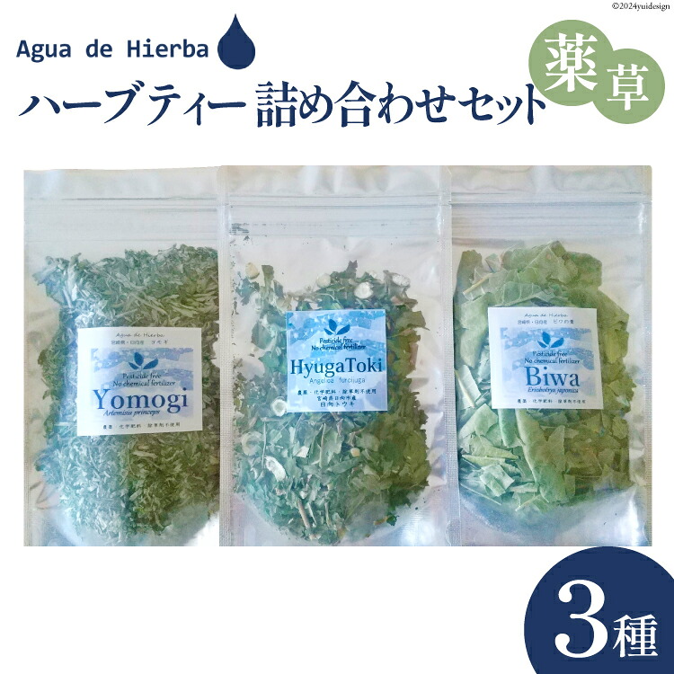 【ふるさと納税】 ハーブティー 詰め合わせ 薬草 セット 3種×各1袋 [Agua de Hierba 宮崎県 日向市 452060806] 茶 お茶 ハーブ 簡易包装 びわ よもぎ ヒュウガトウキ