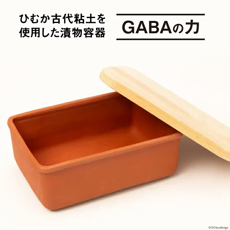 【ふるさと納税】 容器 漬け土器 GABAの力 約935g [黒木建設（ひむか古代粘土） 宮崎県 日向市 452060520] 石 漬物 糠漬け お手軽 古代粘土｜宮崎県日向市