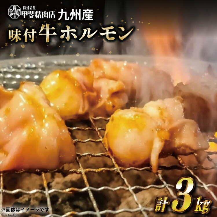 【ふるさと納税】 九州産 味付 牛ホルモン 300g×10袋 計3kg [甲斐精肉店 宮崎県 日向市 452060712] 肉 お肉 味付け肉 牛 味付き 焼肉 肉 冷凍 牛肉 焼くだけ ホルモン 九州産 国産 BBQ