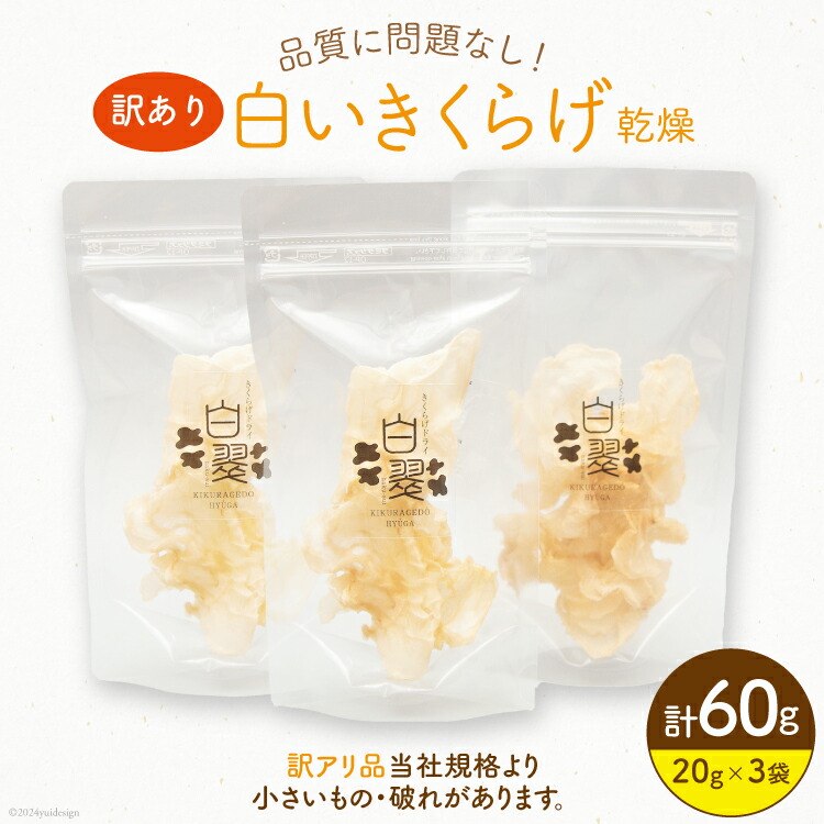 【ふるさと納税】訳あり きくらげ 乾燥 白いきくらげ 20g 3袋 計 60g [きくらげ堂 日向店 宮崎県 日向市 452061063] 国産 キクラゲ 木耳 白