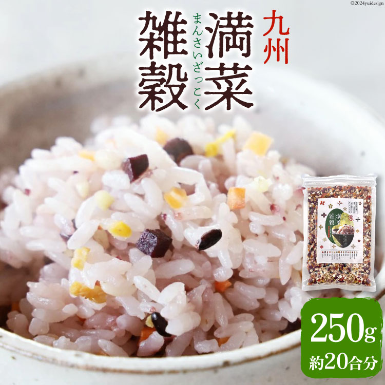 【ふるさと納税】 雑穀米 国産 混ぜるだけ 九州満菜 雑穀 250g 1 パック 約20合分 [オキス 宮崎県 日向市 452061133] 黒米 玄米 もち麦 押し麦 野菜 おにぎり お弁当 米 こめ