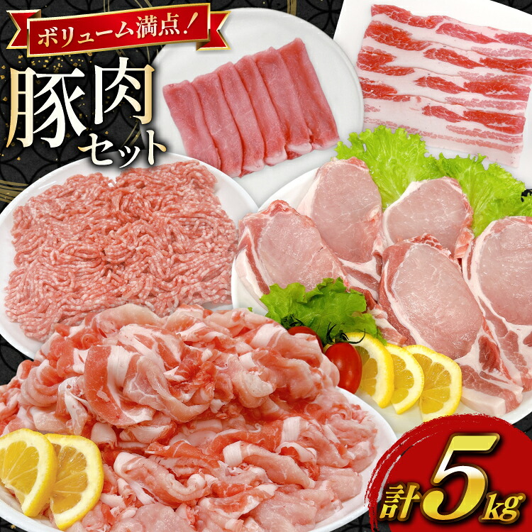 【ふるさと納税】 豚肉 宮崎県産豚肉 5kg 詰め合わせ セット [TRINITY 宮崎県 日向市 452061325] 小分け 豚 肉 宮崎 ロース スライス 豚バラ とんかつ 切り落とし ミンチ 豚ミンチ ひき肉 真空パック