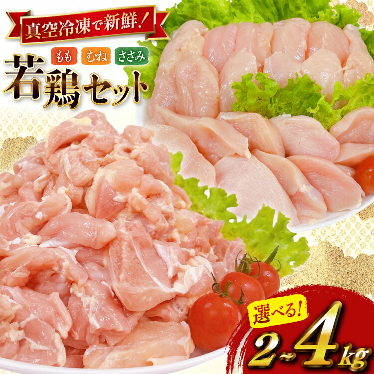 【ふるさと納税】 鶏肉 小分け 選べる 内容量 宮崎県産 若鶏 2kg 4kg セット [TRINITY 宮崎県 日向市 452061379] 鶏もも肉 もも肉 鶏むね肉 むね肉 ささみ ササミ 冷凍 鶏肉もも 詰め合わせ 【日向市は若鶏出荷額5年連続日本一】